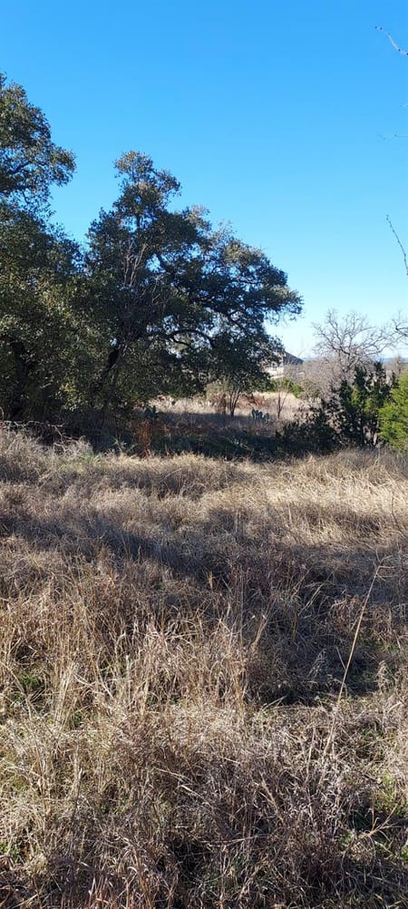 Buchanan Dam, TX 78609 Llano County