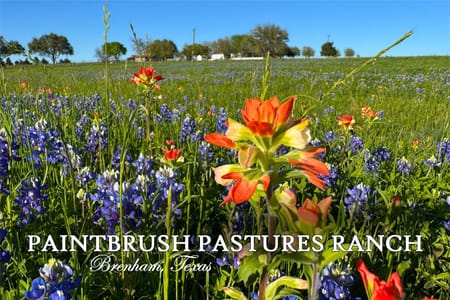 Brenham, TX 77833 Washington County