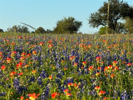 Brenham, TX 77833 Washington County