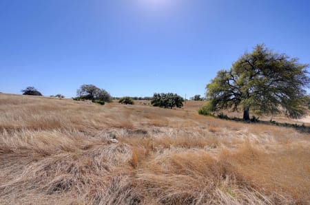 Fredericksburg, TX 78624 Gillespie County
