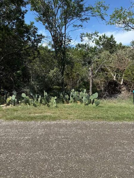 Belton, TX 76513 Bell County