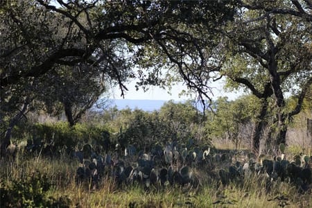 Horseshoe Bay, TX 78657 Llano County