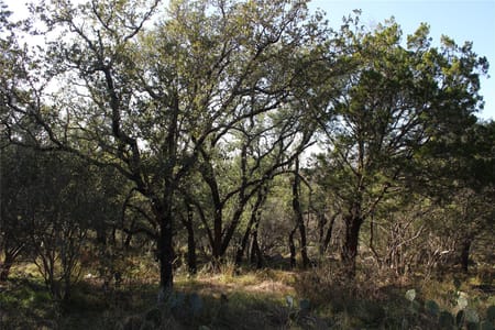 Horseshoe Bay, TX 78657 Llano County
