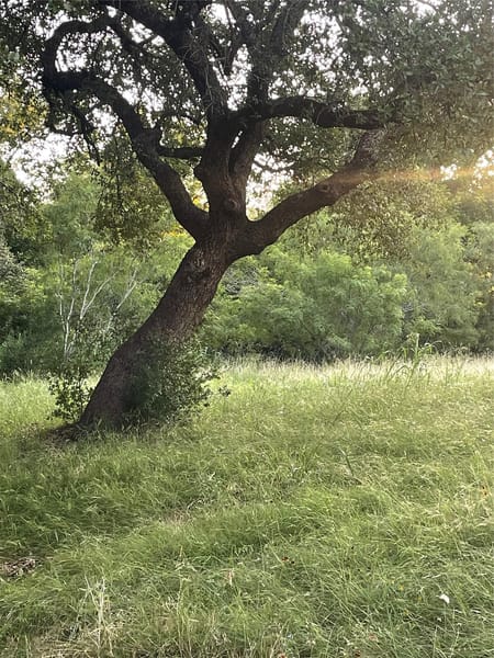 Horseshoe Bay, TX 78657 Llano County