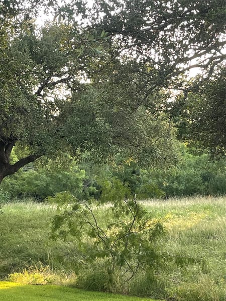 Horseshoe Bay, TX 78657 Llano County