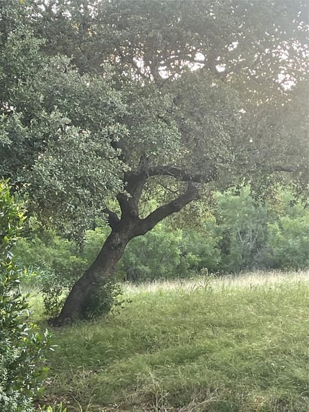 Horseshoe Bay, TX 78657 Llano County