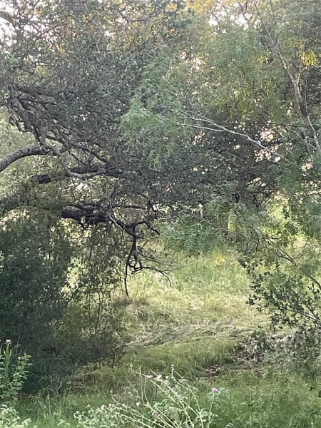 Horseshoe Bay, TX 78657 Llano County