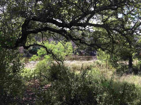 Horseshoe Bay, TX 78657 Llano County