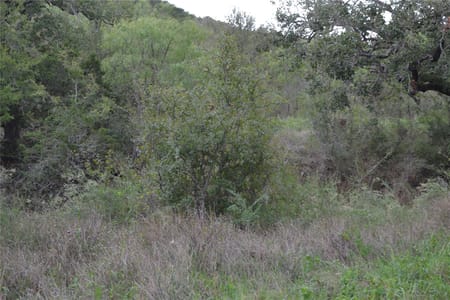 Tow, TX 78672 Llano County