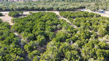 Salado, TX 76571 Bell County