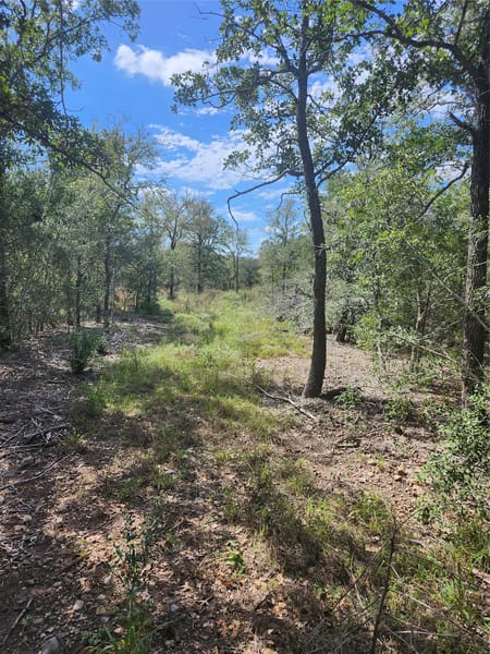 Del Valle, TX 78617 Bastrop County