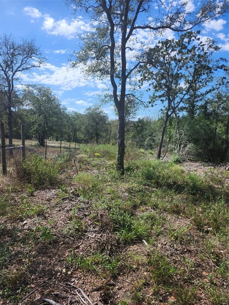 Del Valle, TX 78617 Bastrop County