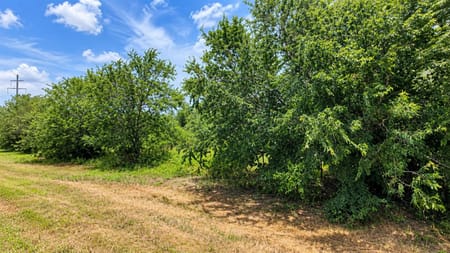 Cost, TX 78614 Gonzales County