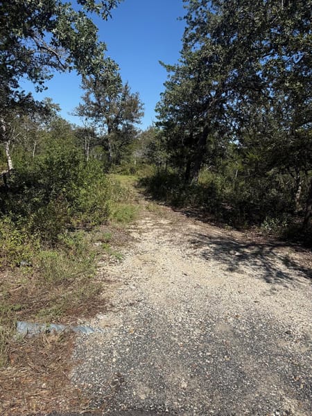 Manor, TX 78653 Travis County