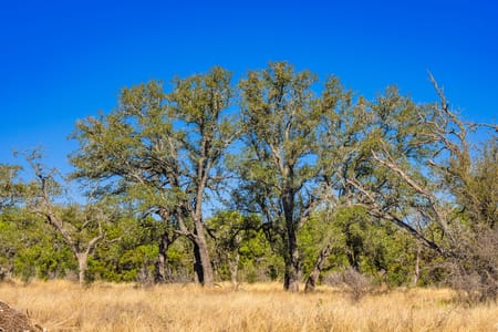 Burnet, TX 78611 Burnet County