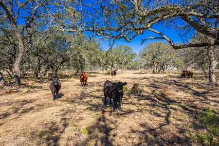 Burnet, TX 78611 Burnet County