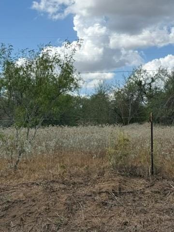 Luling, TX 78648 Guadalupe County