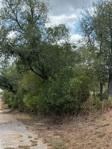 Luling, TX 78648 Guadalupe County