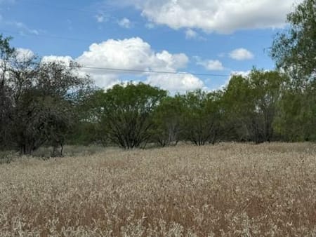 Luling, TX 78648 Guadalupe County