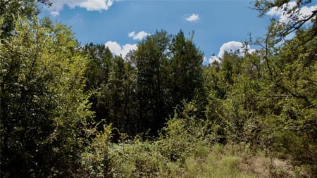 Lampasas, TX 76550 Burnet County