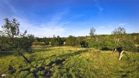 Fredericksburg, TX 78624 Gillespie County