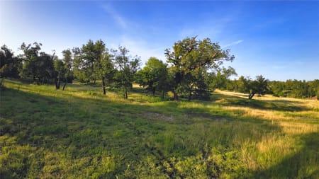 Fredericksburg, TX 78624 Gillespie County