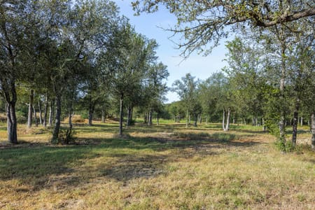 Manor, TX 78653 Travis County