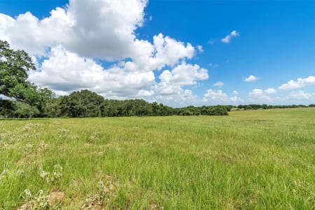 Yoakum, TX 77995 DeWitt County