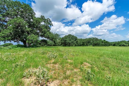 Yoakum, TX 77995 DeWitt County