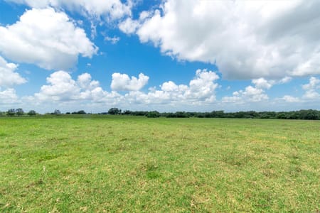 Yoakum, TX 77995 DeWitt County