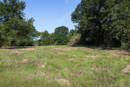 Jewett, TX 75846 Leon County