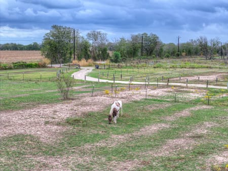 Martindale, TX 78655 Guadalupe County