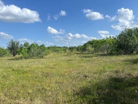 Waelder, TX 78959 Gonzales County