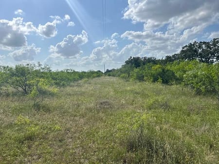 Waelder, TX 78959 Gonzales County