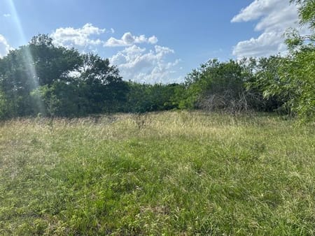 Waelder, TX 78959 Gonzales County