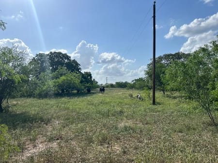 Waelder, TX 78959 Gonzales County
