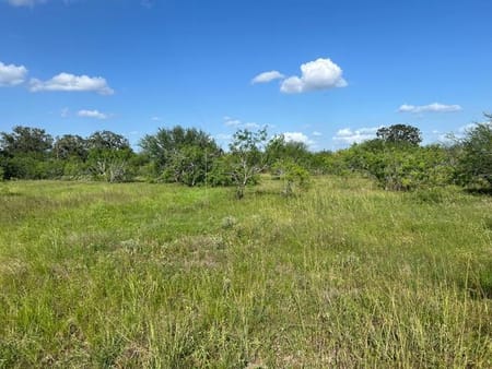 Waelder, TX 78959 Gonzales County