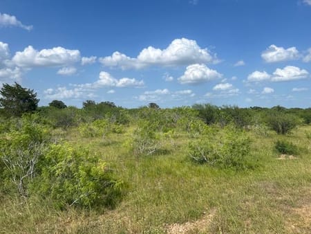 Waelder, TX 78959 Gonzales County