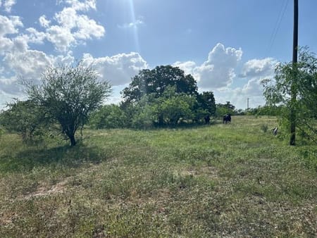 Waelder, TX 78959 Gonzales County