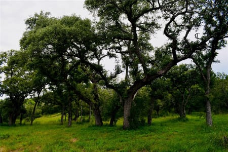 Burnet, TX 78611 Burnet County
