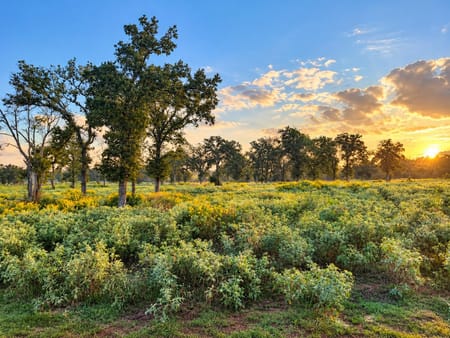 Harwood, TX 78632 Gonzales County