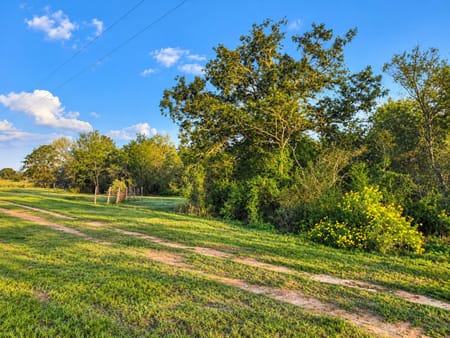 Harwood, TX 78632 Gonzales County