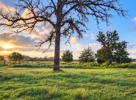 Harwood, TX 78632 Gonzales County