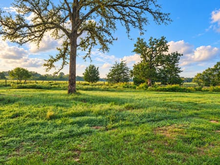 Harwood, TX 78632 Gonzales County
