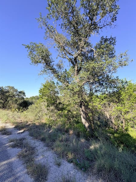 Horseshoe Bay, TX 78657 Burnet County