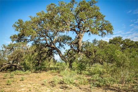 Cuero, TX 77954 DeWitt County
