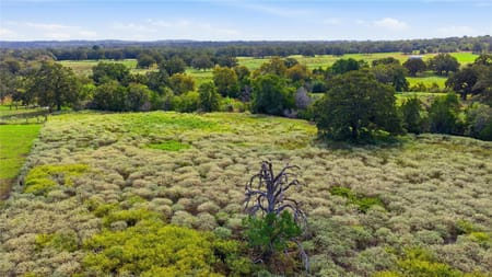 Smithville, TX 78957 Bastrop County