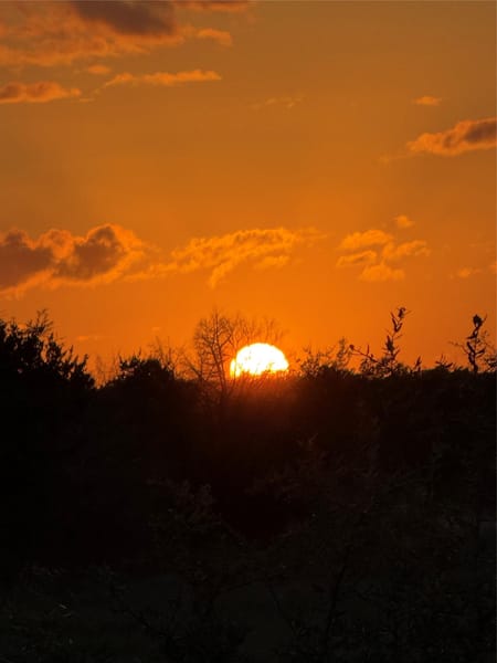 Wimberley, TX 78676 Hays County