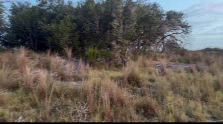 Wimberley, TX 78676 Hays County
