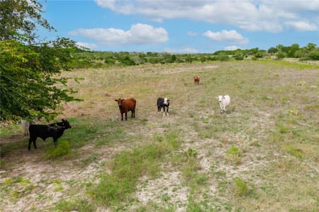 Lampasas, TX 76550 Burnet County